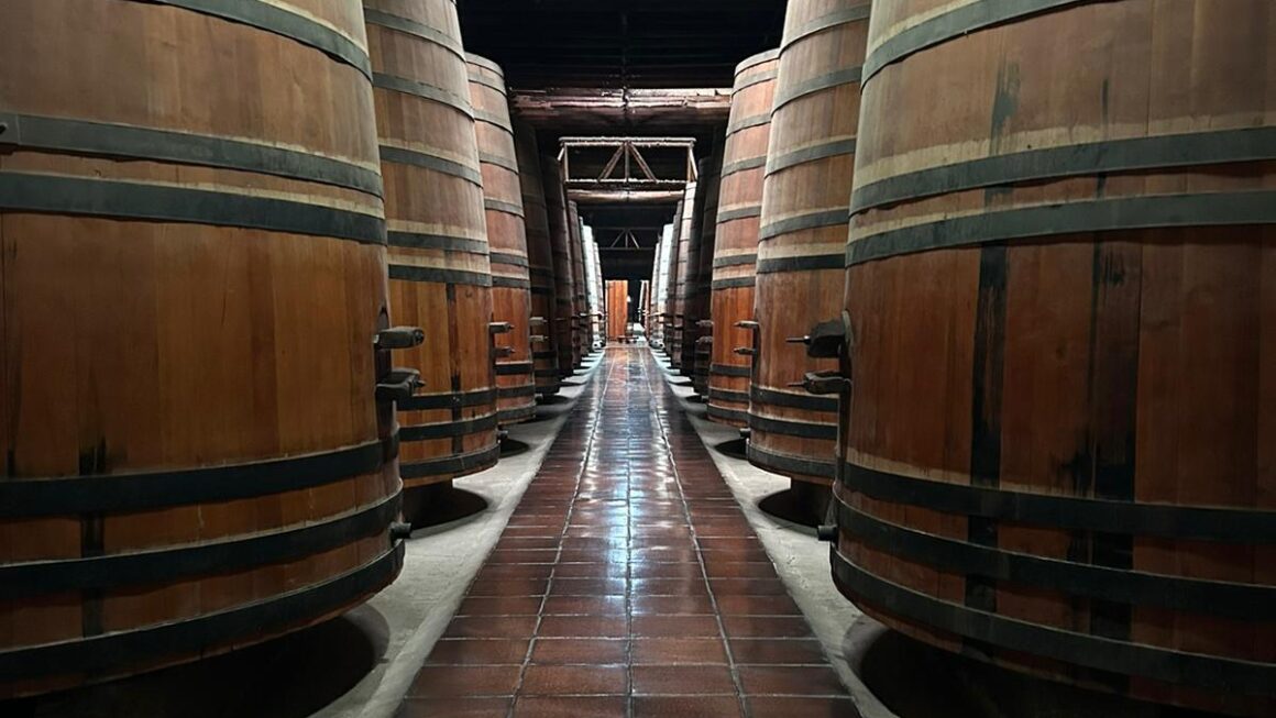 Vino Vino Vino