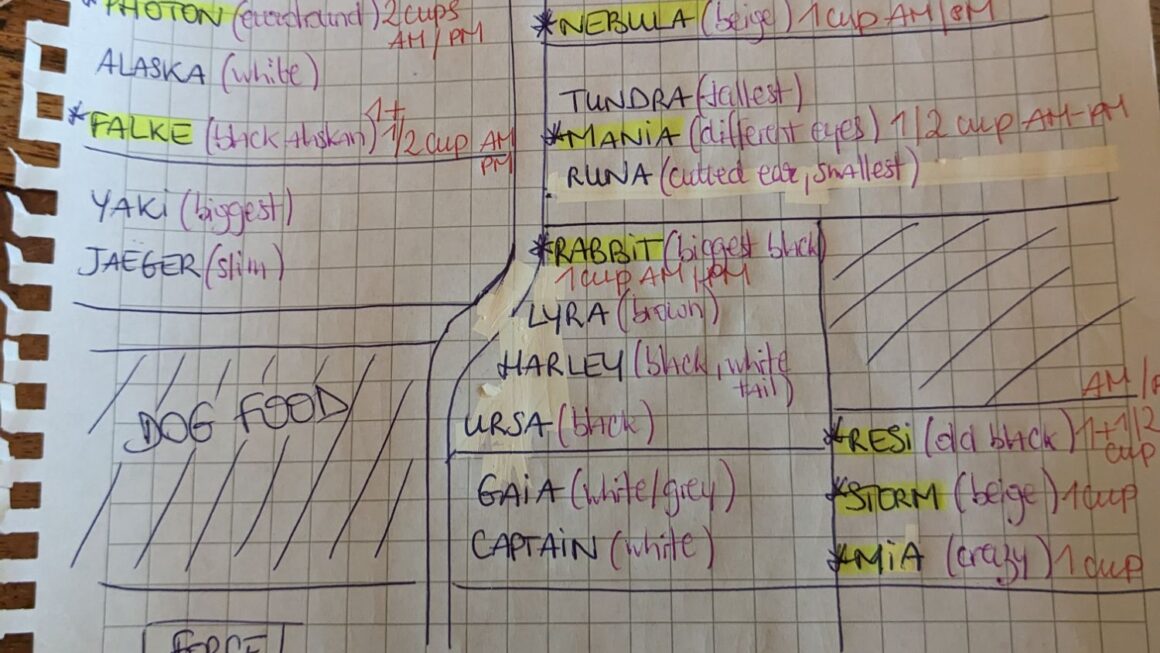 Alles nach Plan
