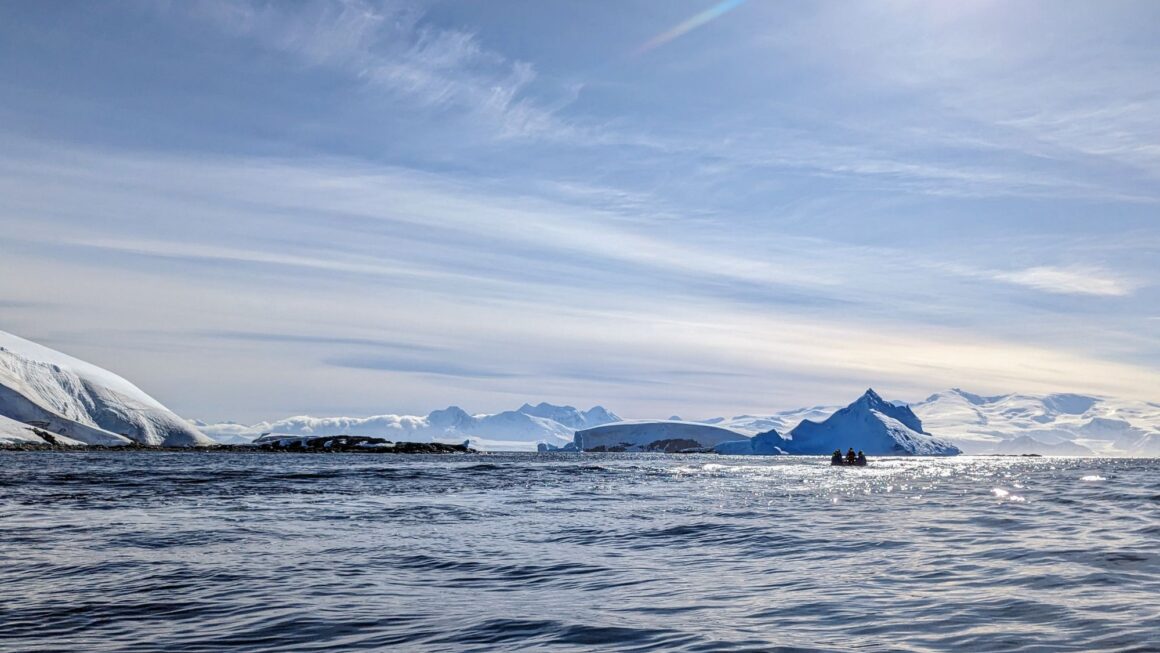 Antarktis Tag 6: Polar plunge