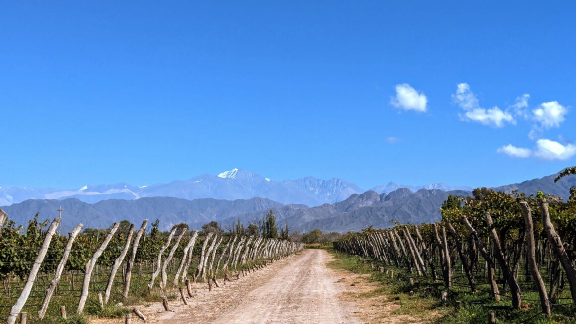 Bike’n’Wine