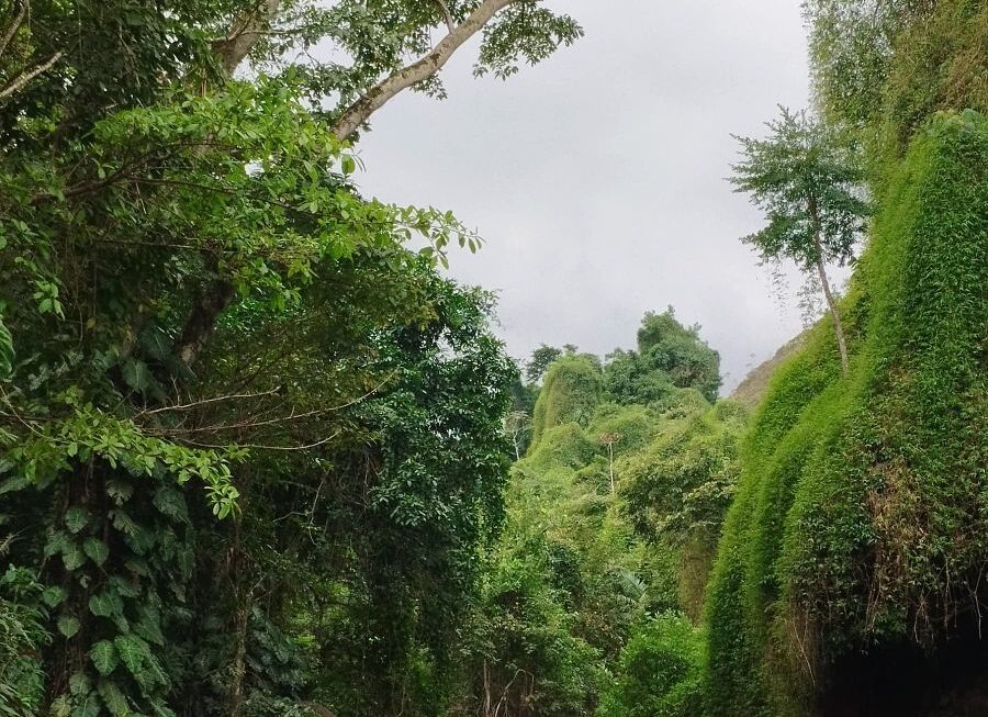 Garten Eden