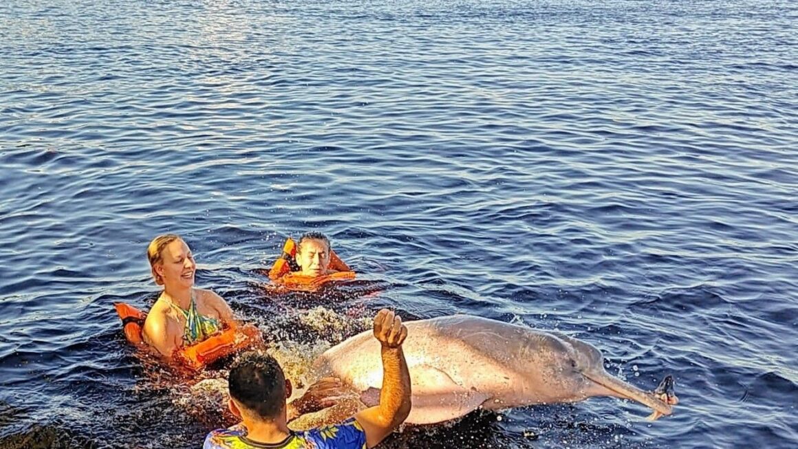 Amazonas Tag 1 – Auf Tuchfühlung