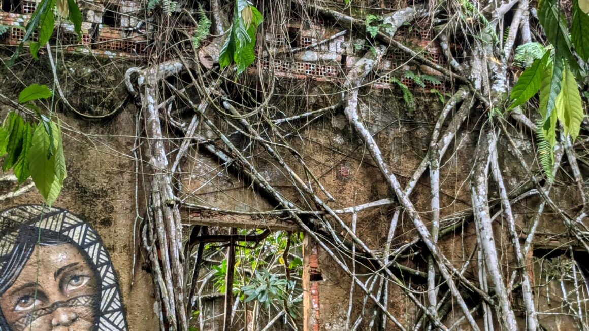 Amazonas Tag 4 – Vom Gestern ins Heute