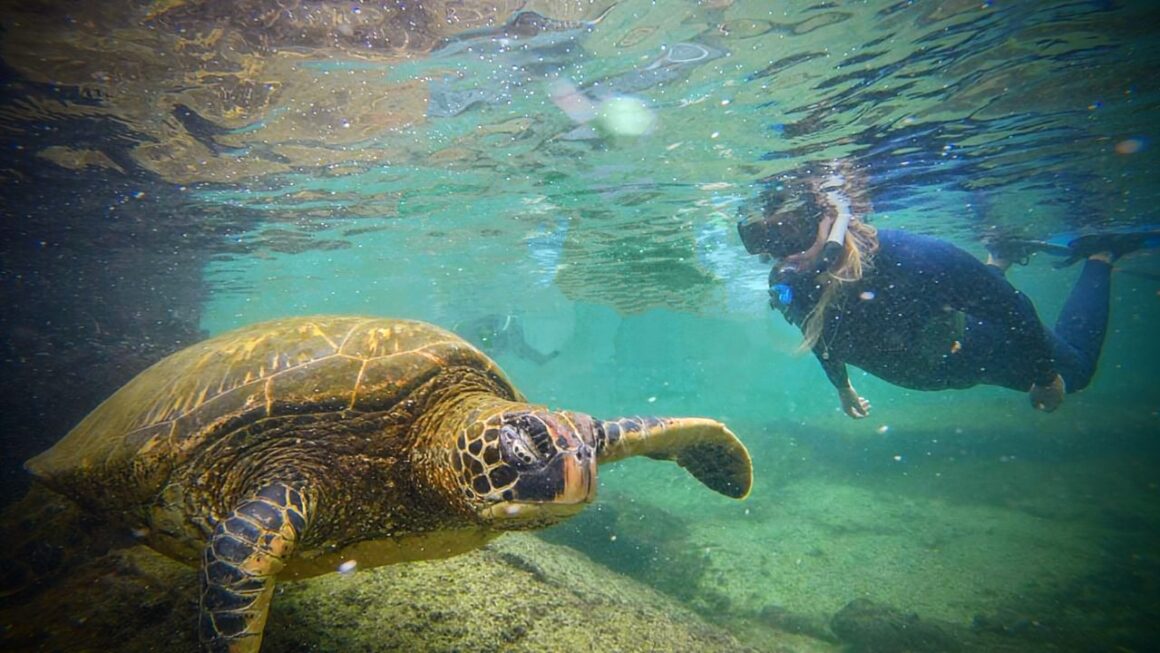 Galapagos Tag 6 – Safari a la Galapagos