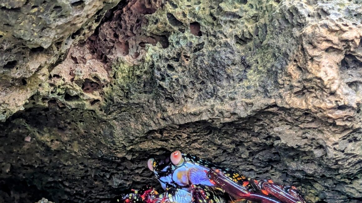 Galapagos Tag 8 – Bike’n’Hike