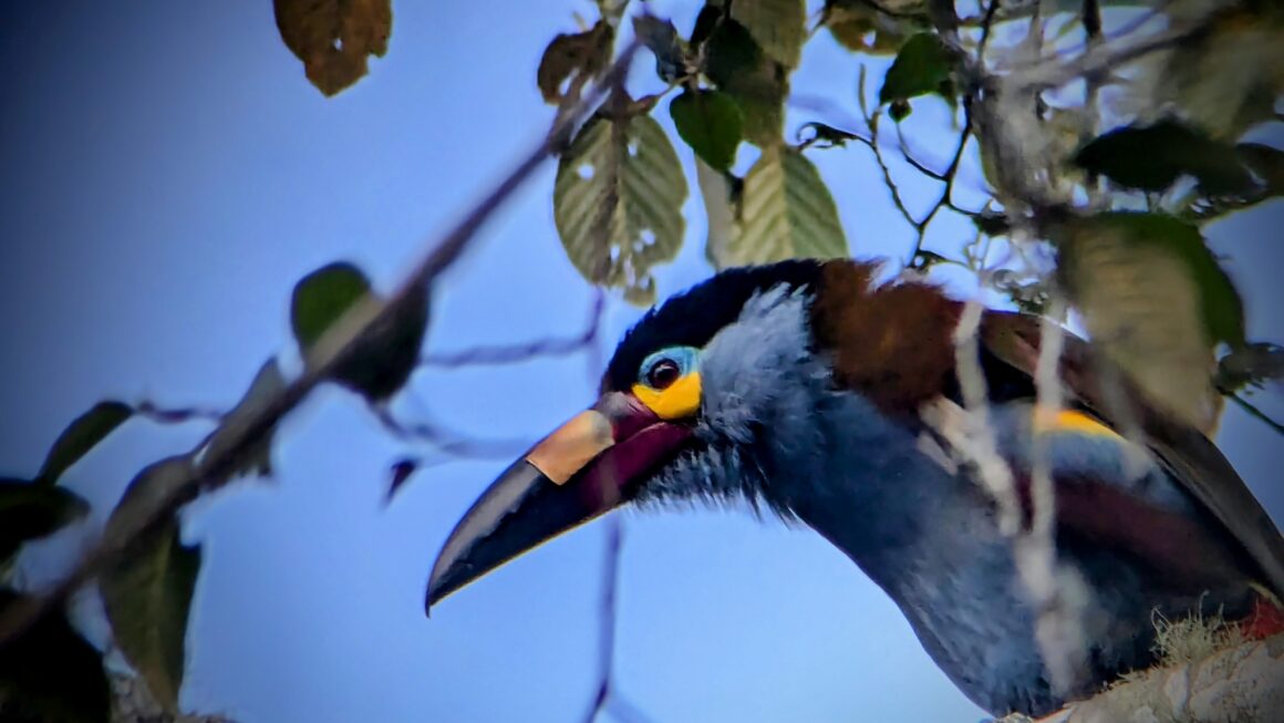 Im Birdwatching Business angekommen
