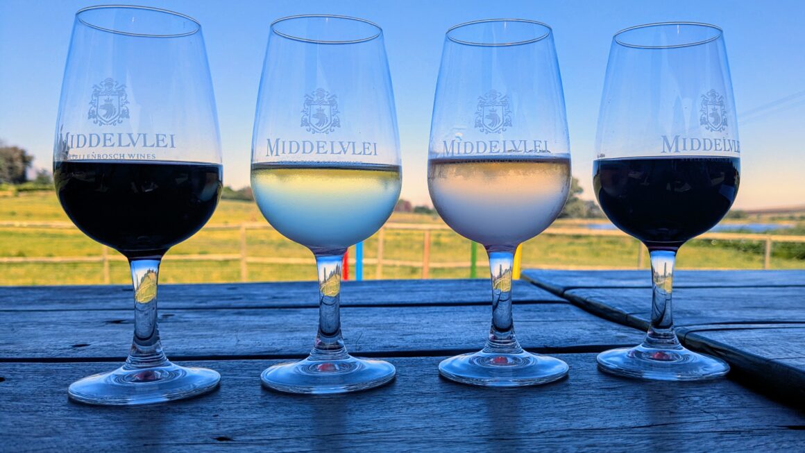 In der Weinregion Südafrikas
