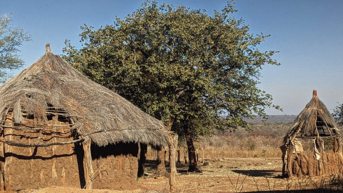 1. Krankenschein in Afrika