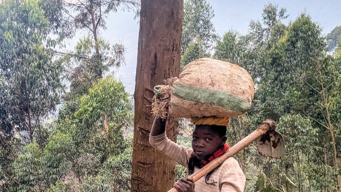 Safari durch Uganda: Tag 4